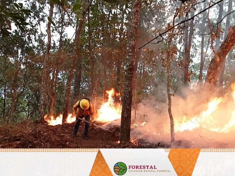 Oaxaca quinto lugar nacional en incendios forestales