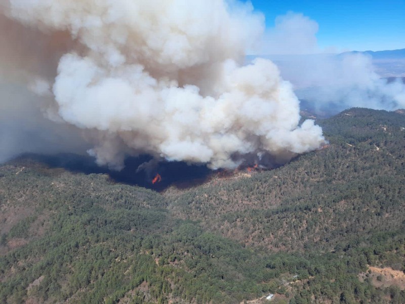 Oaxaca acumula 37 incendios forestales durante el 2024