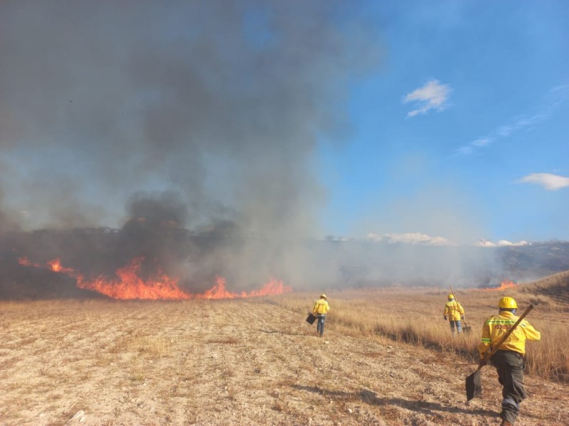 Oaxaca reporta 14 incendios forestales; uno en poligonal Arqueológica