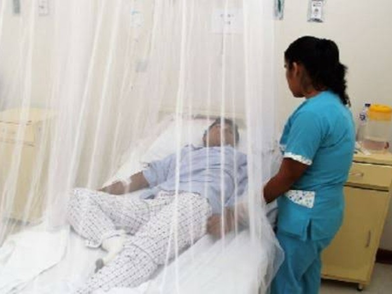 Oaxaca, segundo lugar nacional en defunciones por dengue
