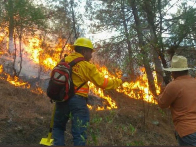 Oaxaca, segundo lugar nacional en superficie afectada por incendios forestales
