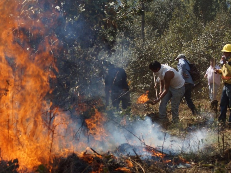 Oaxaca Séptimo lugar nacional en incendios forestales