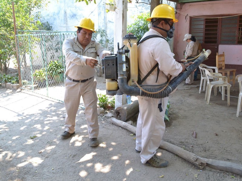 Oaxaca, sexto lugar nacional en casos de dengue