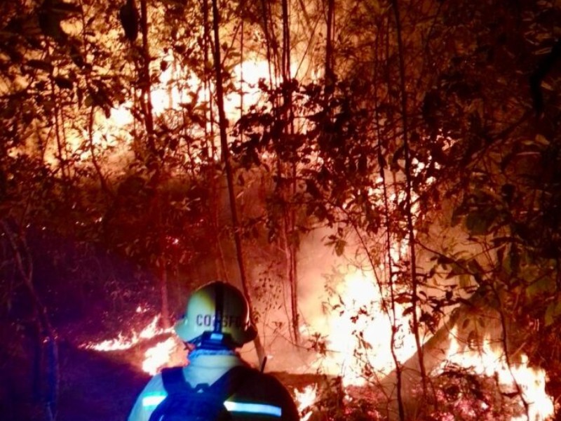 Oaxaca suma más de 100 incendios forestales en 2026