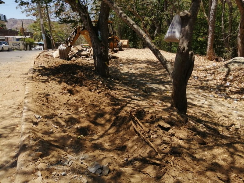 Obra de ciclovía no está respetando árboles de reserva Limón