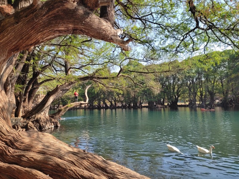 Obra en Camécuaro debe cumplir con la ley ambiental