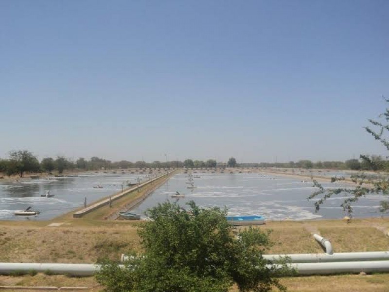Obregón: hasta 12 años sin mantenimiento plantas tratadoras de agua