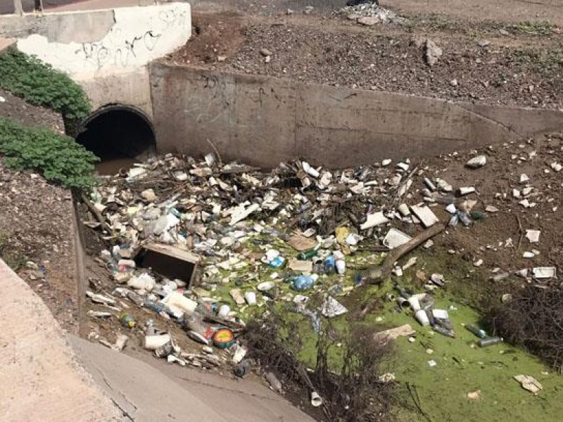 Obregón recicla menos del 1% de la basura que se genera