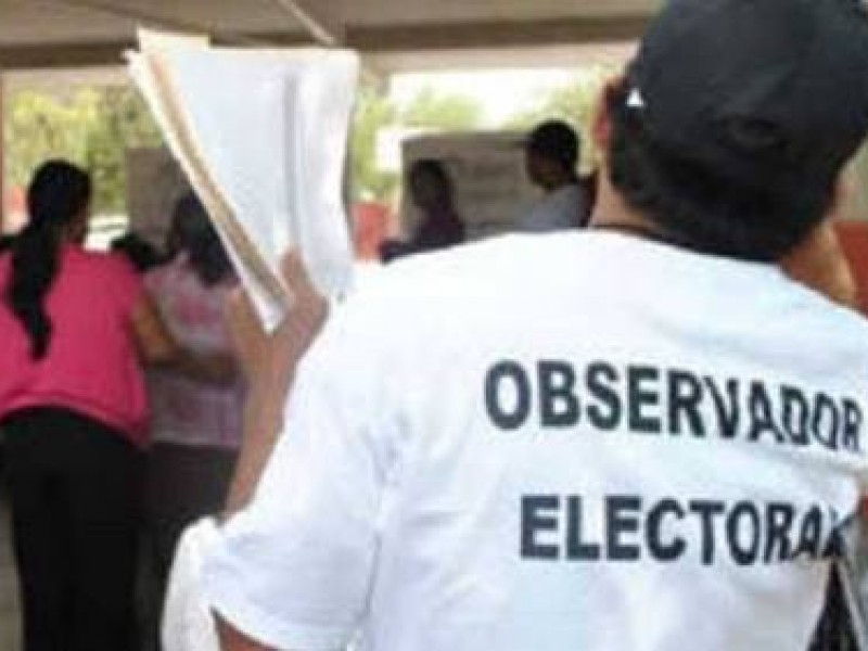Observador electoral pieza clave en las elecciones