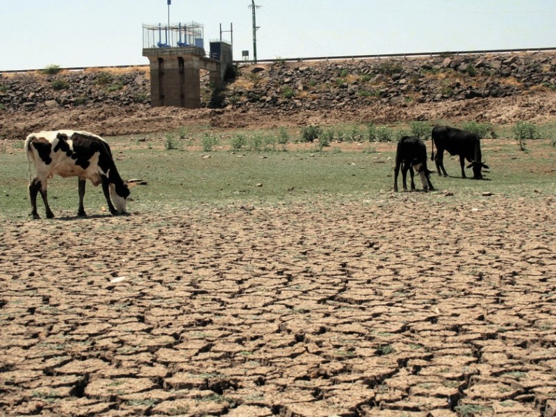 Observatorio Ciudadano advierte por sequía extrema