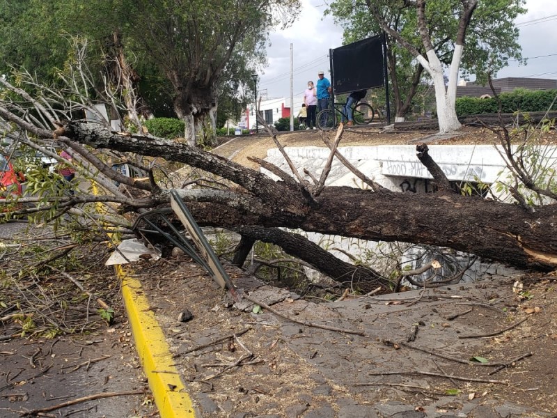 Obsoleto y sin actualizar atlas de riesgo en Zamora