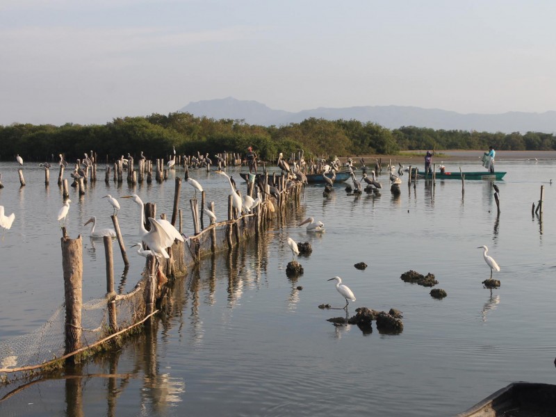 Obtienen Rosamorada y Tecuala plan de Ordenamiento Ecológico