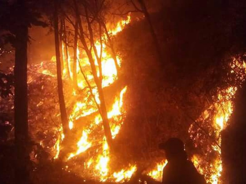 Ocho municipios encabezan cifra histórica de incendios forestales