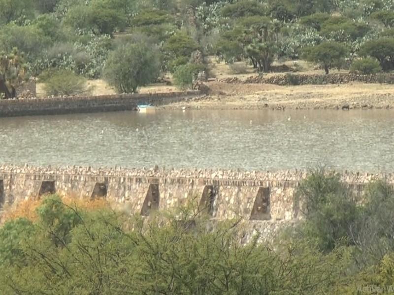Ocho presas de Zacatecas superan el 99 por ciento de almacenamiento
