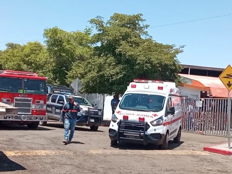 Ocho trabajadores municipales se electrocutan