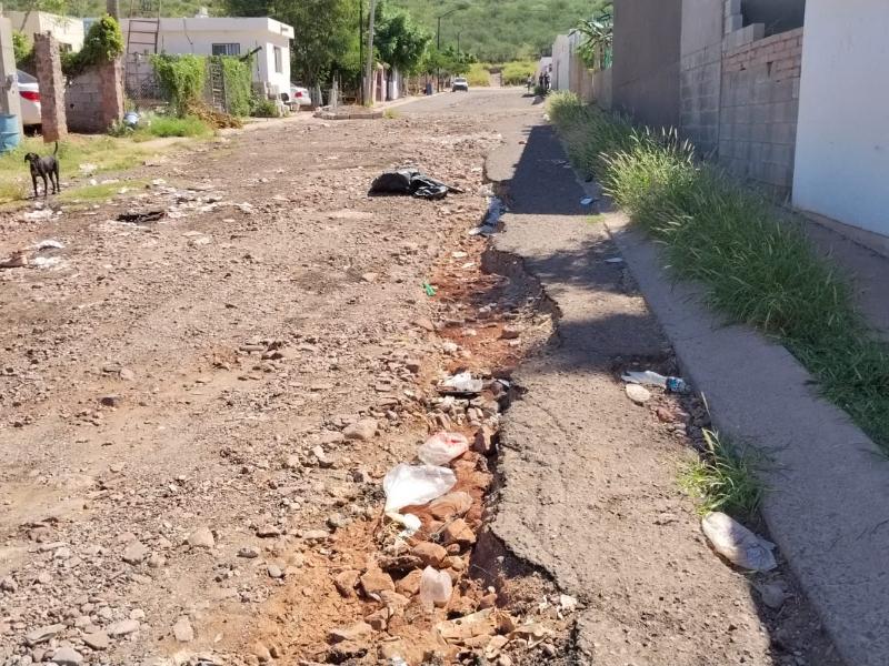 Ocotillo 1 denuncia abandono, calles destrozadas y parques infestados de mosquitos