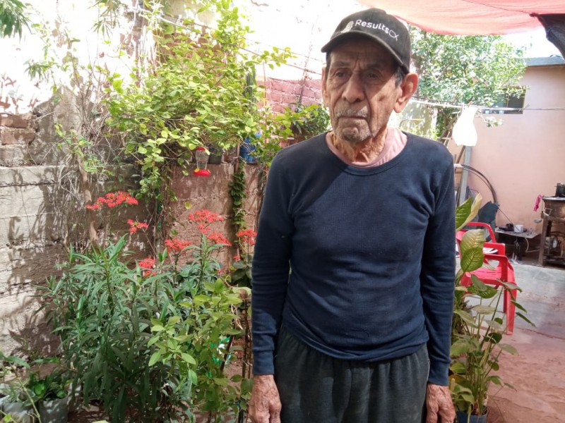 Octavio vende las plantas de su casa para obtener ingresos