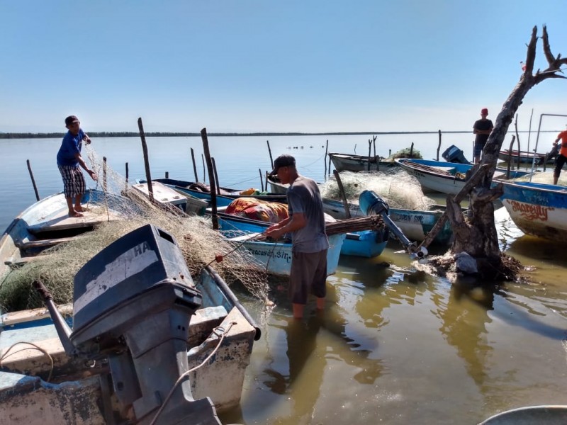 Oculta estado la verdad por mortandad de peces