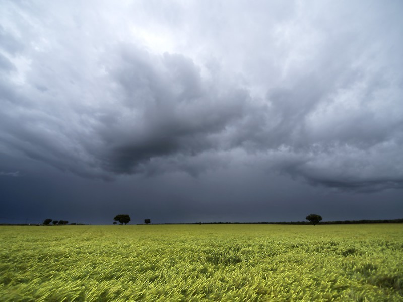Ocupamos lluvias extraordinarias para un ciclo agrícola completo: AARFS