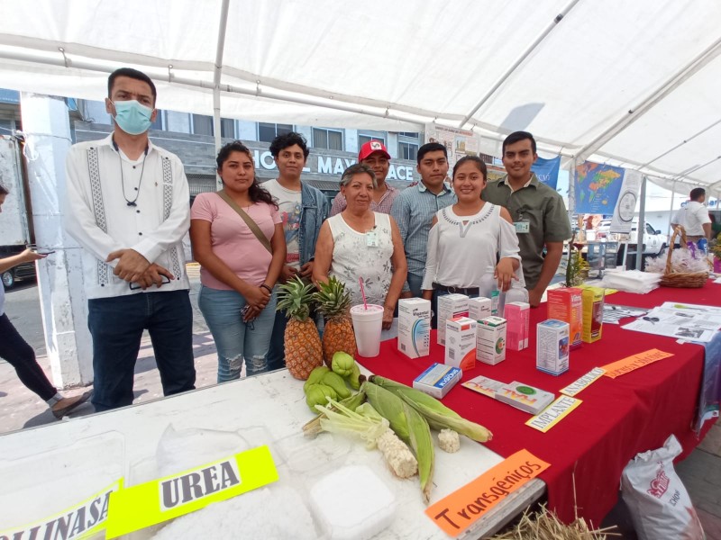 Ofrecen alternativas alimentarias para la ganadería ante sequía