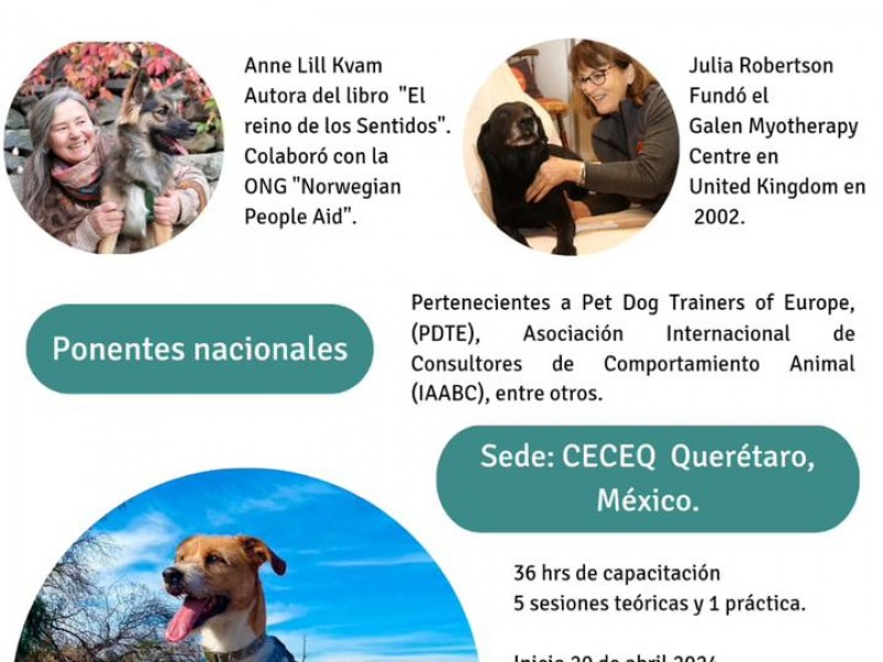 Ofrecen curso para paseadores de mascotas en Querétaro