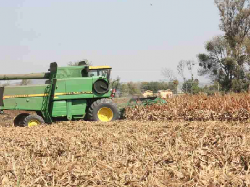 Ofrecen expo agroalimentaria a productores de sector rural