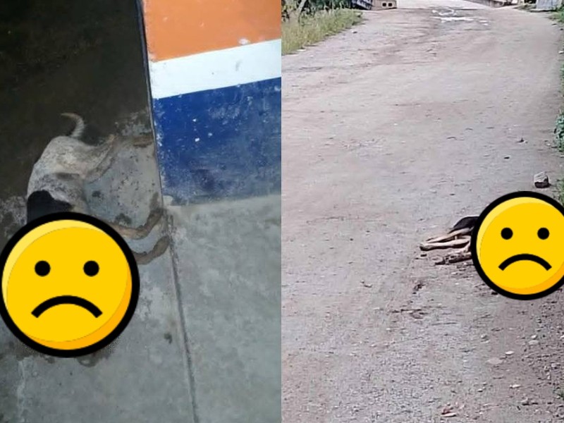 Ola de envenenamientos alarma a Mitla, Oaxaca