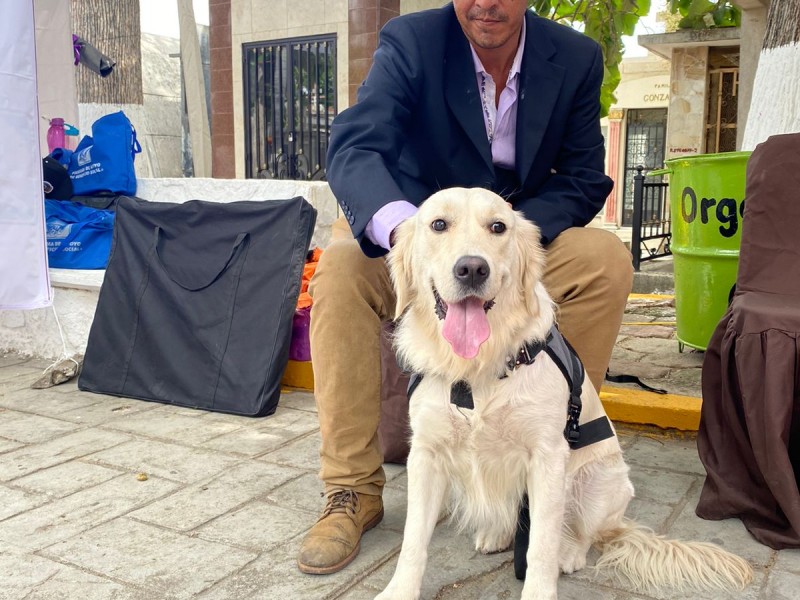 Olivia, perrita que brinda acompañamiento a personas en duelo