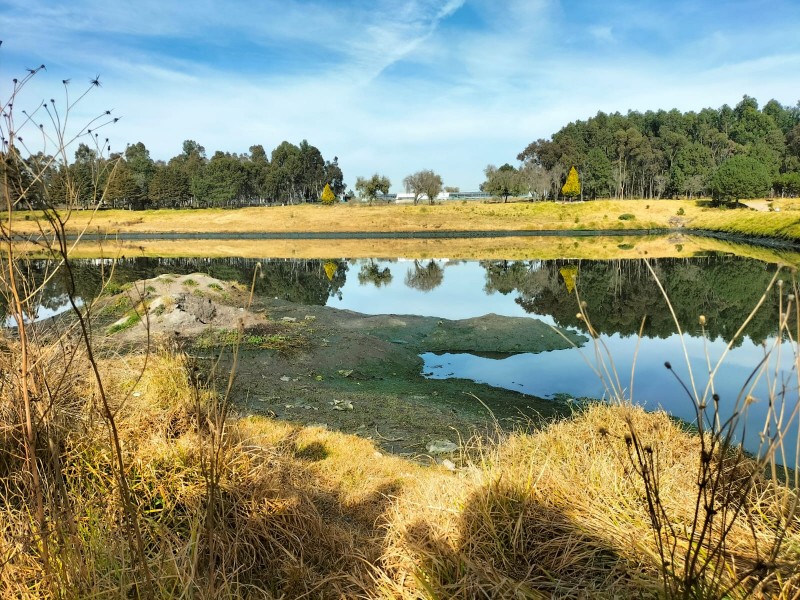 Olores fétidos por descargas en laguna de Toluca