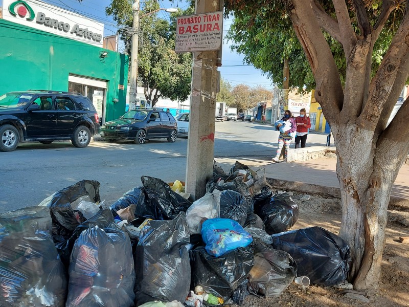 Olvidado Santa Paula en recolección de basura