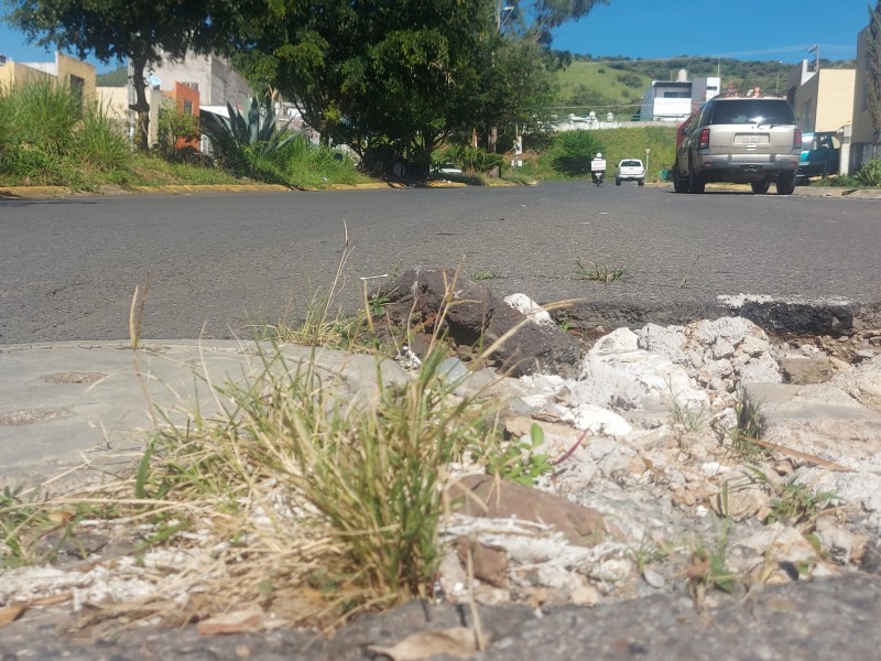 Olvidan tapar bache durante 3 años en Fraccionamiento Floresta