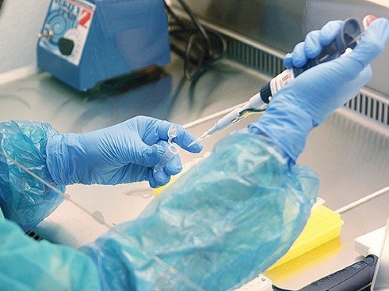 OMS: Datos apuntan un menor número de hospitalizados por ómicron