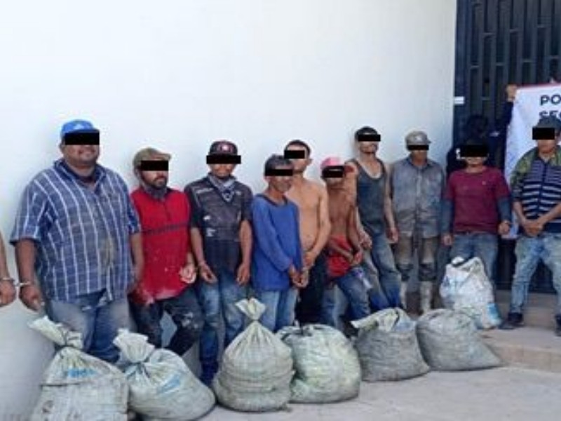 Once detenidos por millonario robo de camarón en Sonora