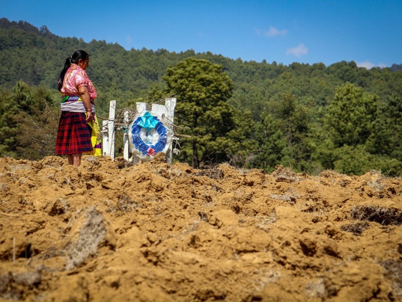 ONU-DH exhorta a atender conflictos de pueblos indígenas de Michoacán 