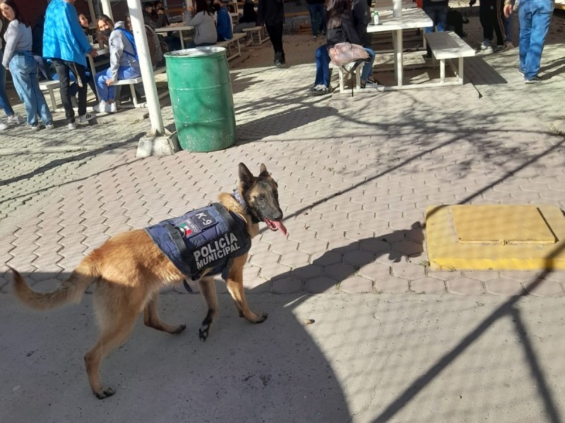 Operativo Mochila y presencia de unidad canina en Cetis 59