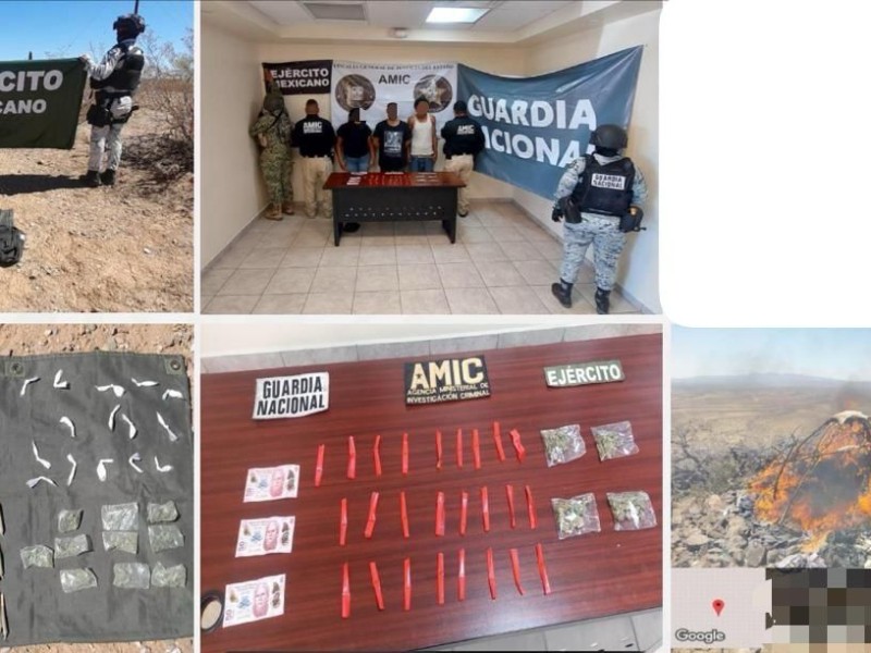 Operativos en siete municipios de Sonora dejan 15 detenidos
