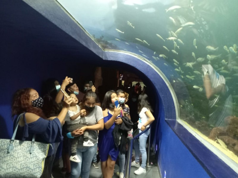 Organismos empresariales piden forma parte del consejo del Aquarium