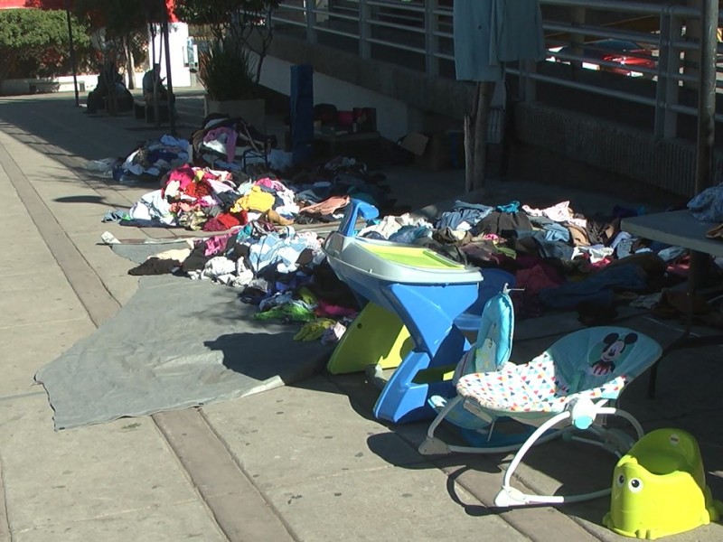 Organizaciones animalistas realizan bazar navideño...