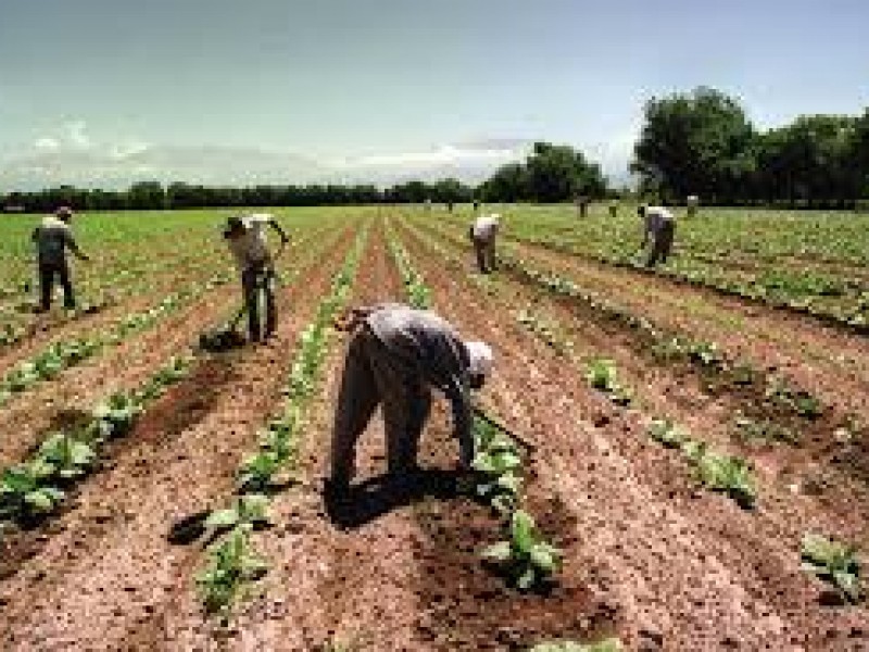 Organizaciones Campesinas advierten nuevas Movilizaciones en Agosto