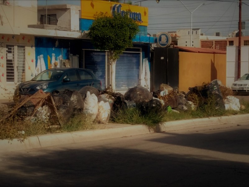 Organizaciones civiles demandan al alcalde transparentar servicio de recolección basura