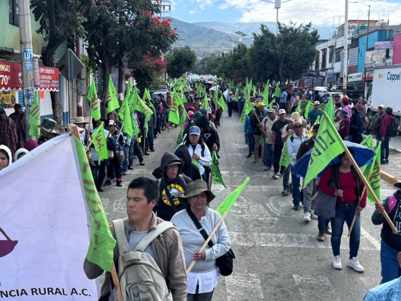 Organizaciones sociales marchan en Oaxaca para exigir justicia por Catarino Torres