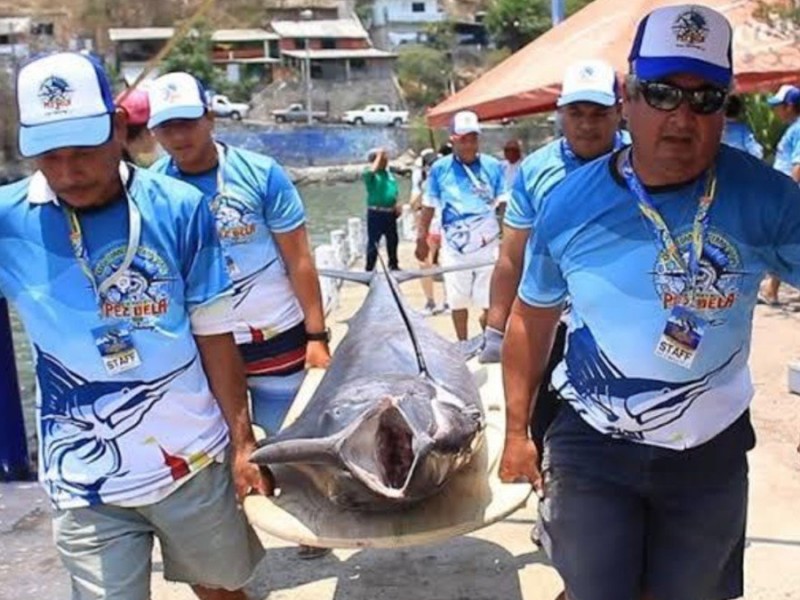 Organizadores confían cumplir expectativa de 37 Torneo Internacional de Pesca