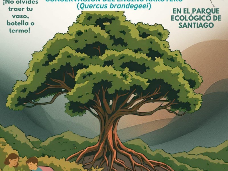 Organizan cuarta edición del festival comunitario “Conservación del Encino Arroyero” en Santiago
