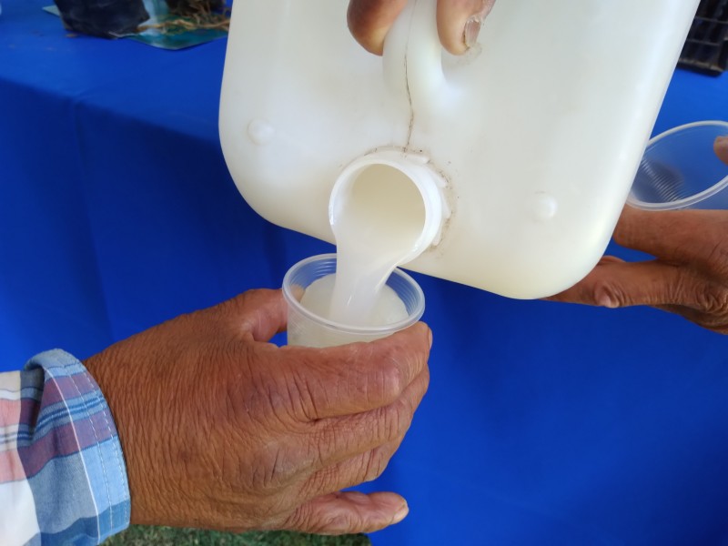 Organizan Feria del Pulque en mercado Benito Juárez