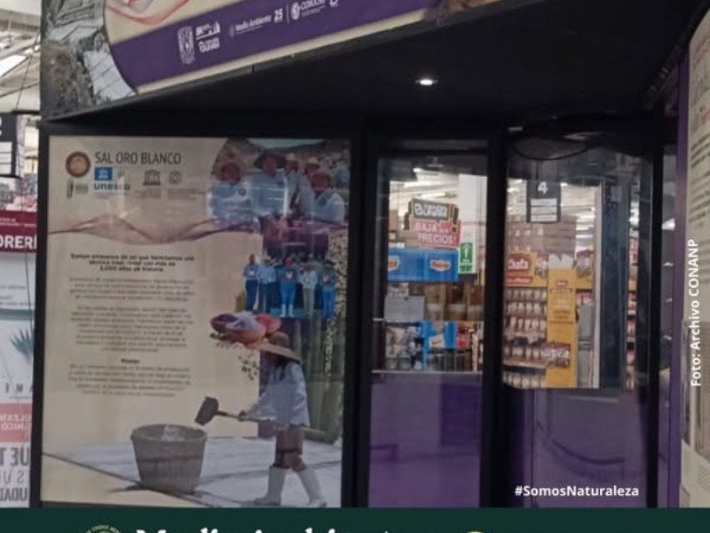 Oro Blanco se mantiene en venta en tiendas de la UNAM