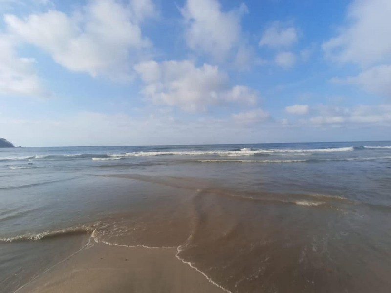 OROMAPAS defiende limpieza de playa Sayulita