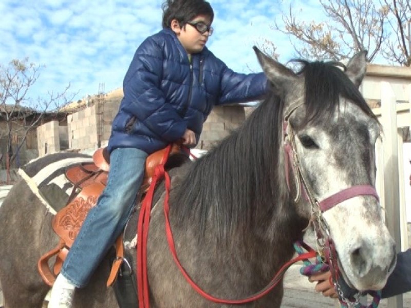 Otorgarán 12 becas a menores para recibir equinoterapias