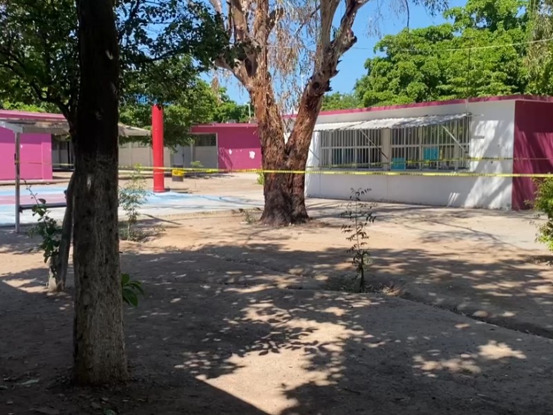 Otra escuela con ataque de abejas en Obregón, alumnos fueron picados
