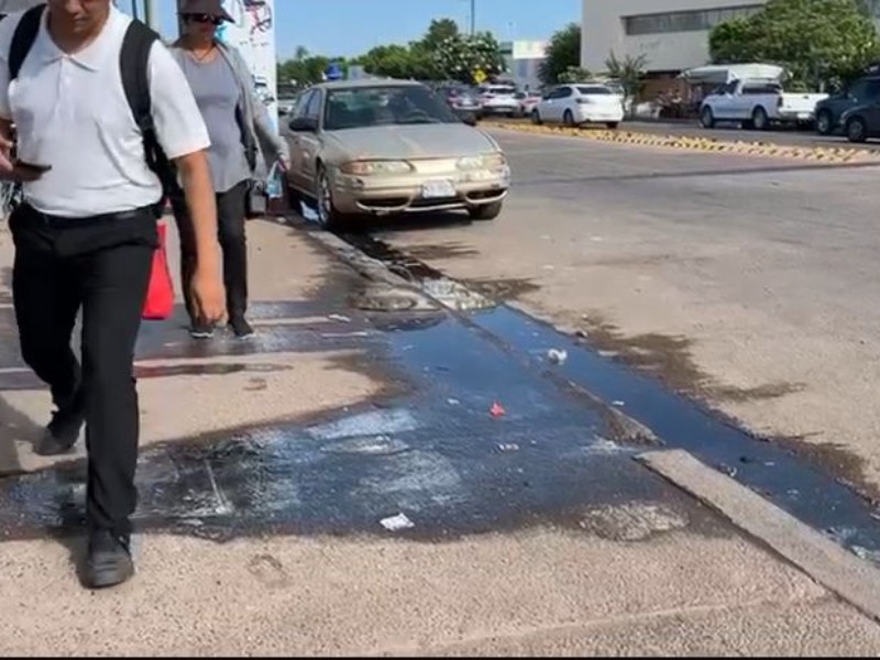 Otra vez brota problema de aguas negras frente a IMSS
