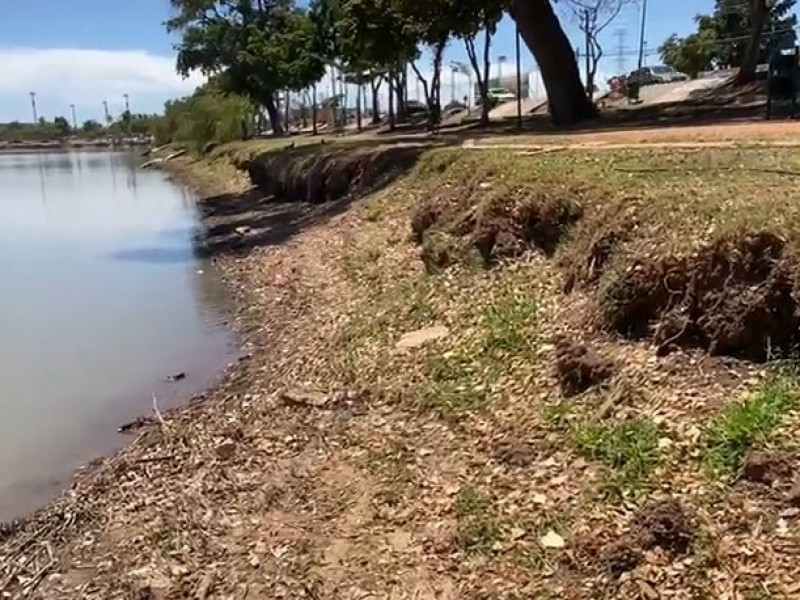 Otra vez Laguna del Náinari luce bajo nivel de agua